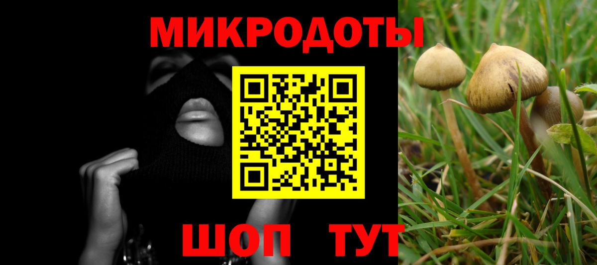 Михайловка  Псилоцибиновые грибы Psilocybine cubensis  Вход с VPN 